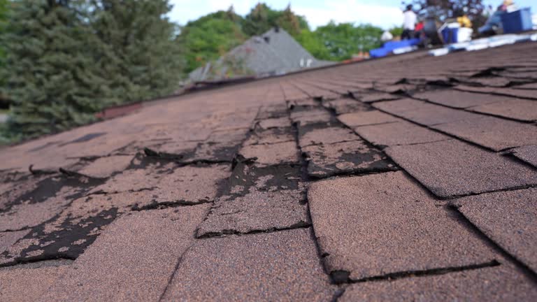 Best Gutter Installation and Repair  in Darby, PA